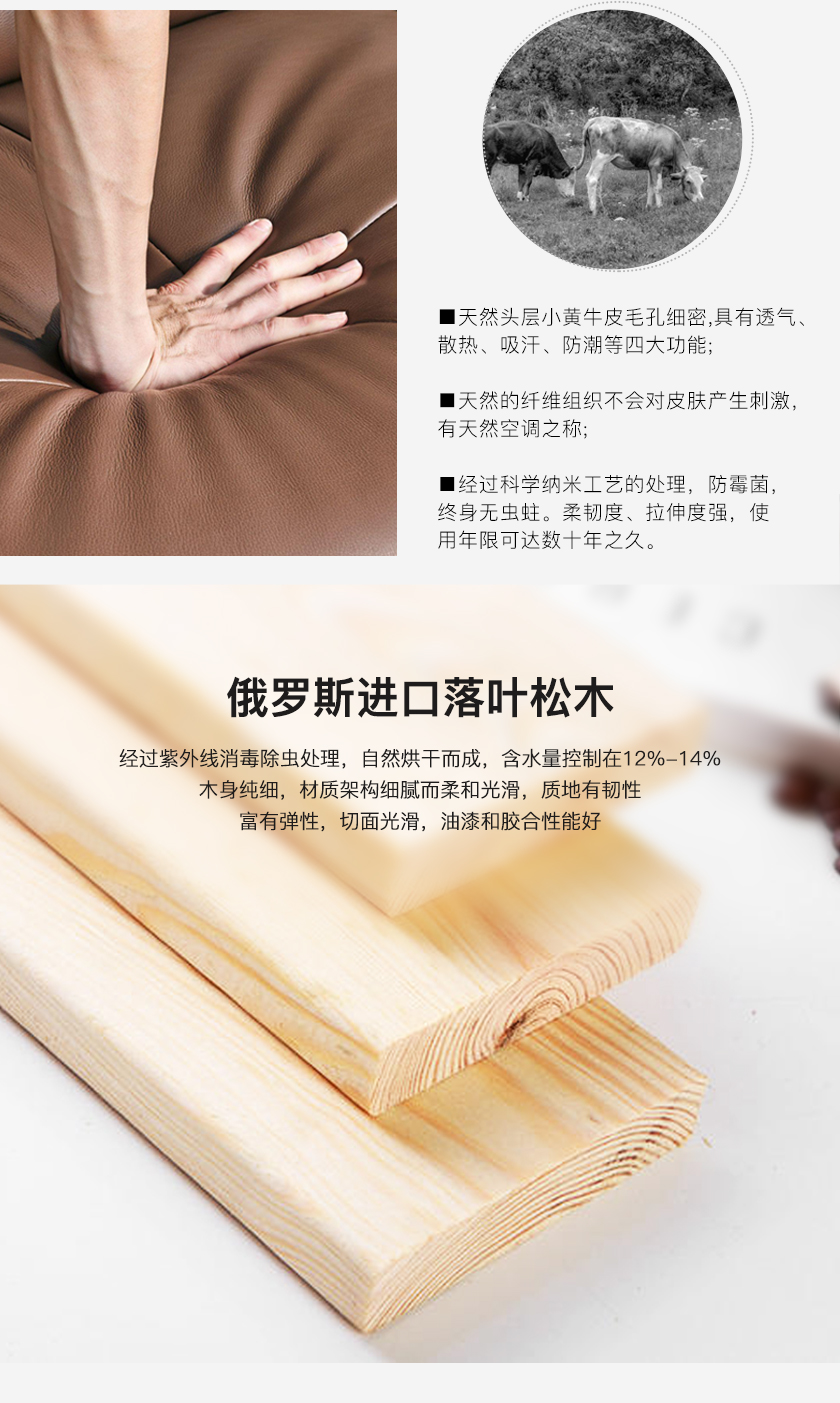 現(xiàn)代簡約床JY-C001